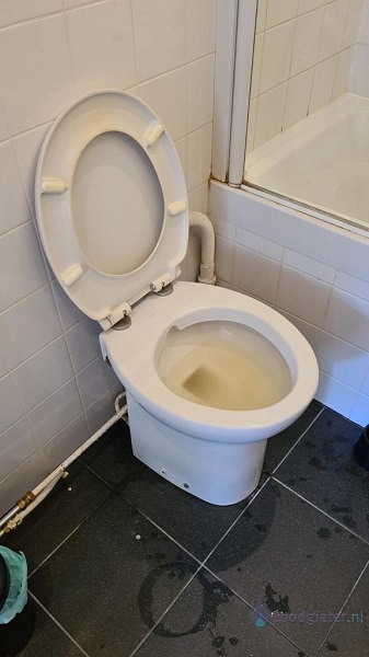  verstopping toilet Wateringen